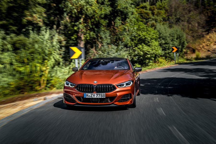  BMW M850i xDrive Carbon Package (G15) 2018 года  (WW) (фото 279 из 287)